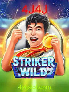 StrikerWILD